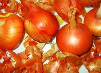 რას კურნავს ხახვის ქერქი.