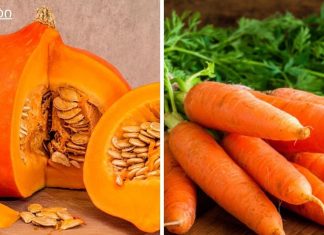 შარდმჟავა არის ორგანიზმის ფუნქციონირების მნიშვნელოვანი ელემენტი, რომელიც მონაწილეობს მრავალი აუცილებელი პროცესის განხორციელებაში, რაც ხელს უწყობს ადამიანის ნორმალურ ცხოვრებას.