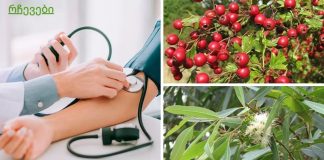 ნაყენი გულისთვის და წნევის ნორმალიზებისთვის