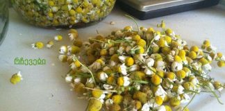 რა დაავადებებს მკურნალობს გვირილა