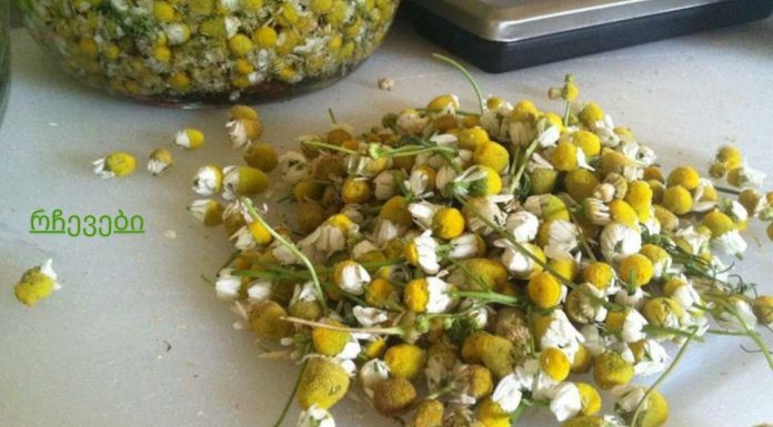 რა დაავადებებს მკურნალობს გვირილა