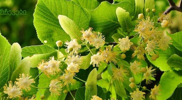 იმუნიტეტის გემრიელი გამაძლიერებელი