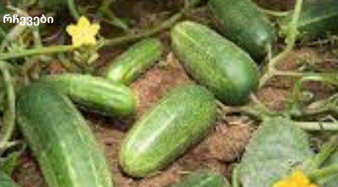 ის ყოველდღე ჭამდა კიტრს, შემდეგ კი ყველამ შენიშნა, როგორ შეიცვალა იგი. ეს არის ის, რაც მოხდა!