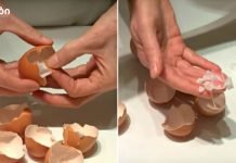 ის ადუღებს კვერცხის ნაჭუჭს. თქვენ შეწყვეტთ მის გადაგდებას, როცა გაიგებთ მიზეზს