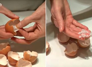 ის ადუღებს კვერცხის ნაჭუჭს. თქვენ შეწყვეტთ მის გადაგდებას, როცა გაიგებთ მიზეზს