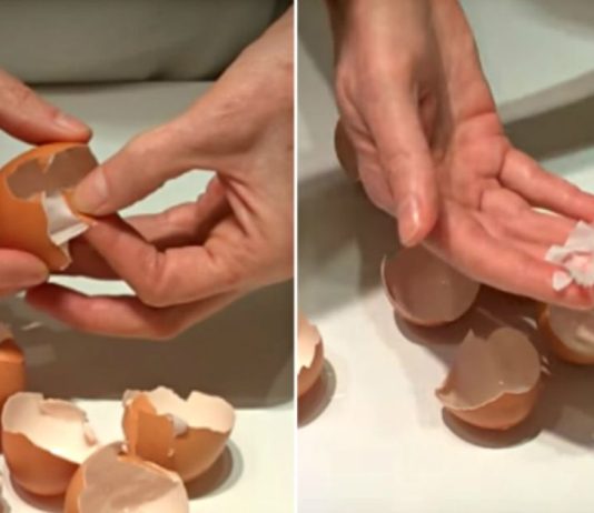 ის ადუღებს კვერცხის ნაჭუჭს. თქვენ შეწყვეტთ მის გადაგდებას, როცა გაიგებთ მიზეზს