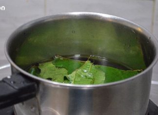 გაქვთ დიაბეტის სიმპტომები? უბრალოდ მოხარშეთ ეს ფოთლები და შეძლებთ დიაბეტის წინააღმდეგ მედიკამენტების გარეშე