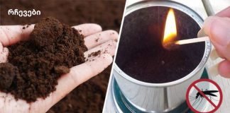 როგორ გამოვიყენოთ ყავის ნალექი მწერების შესანარჩუნებლად, ნიადაგის გასანაყოფიერებლად და სხვა საყოფაცხოვრებო საქმიანობებისთვის