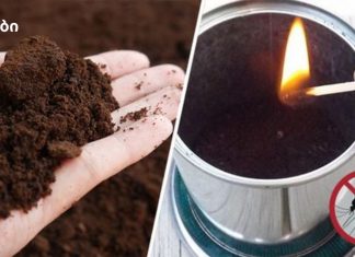 როგორ გამოვიყენოთ ყავის ნალექი მწერების შესანარჩუნებლად, ნიადაგის გასანაყოფიერებლად და სხვა საყოფაცხოვრებო საქმიანობებისთვის