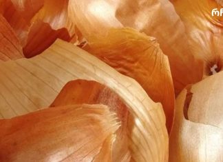 ამის წაკითხვის შემდეგ თქვენ შეწყვეტთ ხახვის ნაჭუჭის გადაყრას!!!