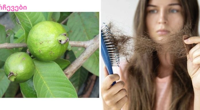 გუავას ფოთლებს შეუძლიათ 100%-ით შეაჩერონ თმის ცვენა და ხელი შეუწყონ მათ არანორმალურ ზრდას!