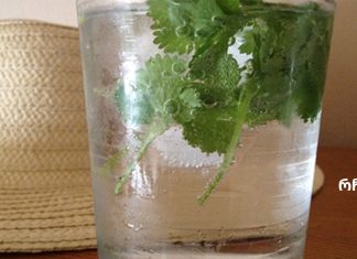 გაქვთ თირკმლის ქვებთან დაკავშირებული პრობლემები? აქ თქვენ იპოვით თირკმელების ბუნებრივი გაწმენდის გზას!