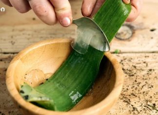 ალოე ვერა და ქოქოსის ზეთი განიხილება, როგორც აკნეს მძლავრი კომბინაცია!