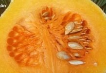 დაემშვიდობეთ მაღალ ქოლესტერინს, სისხლში გლუკოზას, ლიპიდებს და ტრიგლიცერიდებს!