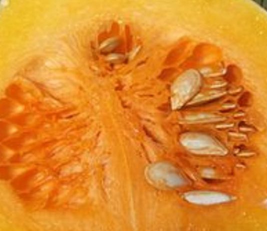 დაემშვიდობეთ მაღალ ქოლესტერინს, სისხლში გლუკოზას, ლიპიდებს და ტრიგლიცერიდებს!