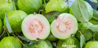 გამოიყენეთ გუავას ფოთლები ნაოჭების, აკნეს, მუქი ლაქების და კანის ალერგიული რეაქციების მოსაშორებლად!