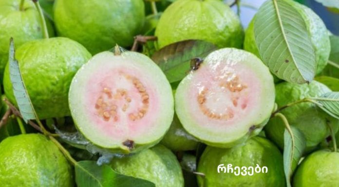 გამოიყენეთ გუავას ფოთლები ნაოჭების, აკნეს, მუქი ლაქების და კანის ალერგიული რეაქციების მოსაშორებლად!