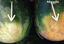 როგორ ავირჩიოთ სწორი საზამთრო: ხრიკები ფერმერისგან