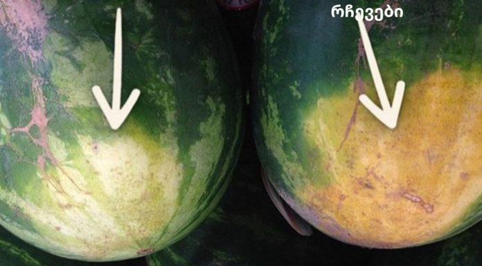 როგორ ავირჩიოთ სწორი საზამთრო: ხრიკები ფერმერისგან