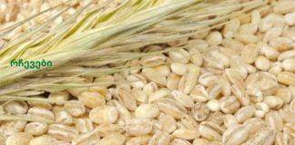 ეს წვენი თქვენი ახალგაზრდობისა და ჯანმრთელობის წყაროა