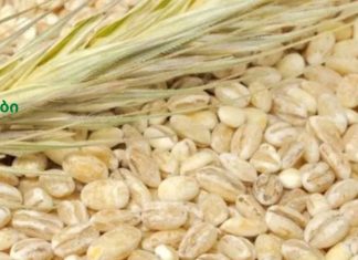 ეს წვენი თქვენი ახალგაზრდობისა და ჯანმრთელობის წყაროა