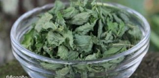 ღვიძლს მკურნალობენ ბალახებით. გაითვალისწინეთ რეცეპტების შენახვა