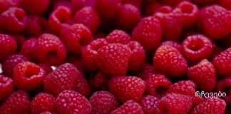 რა უნდა იცოდეთ ჟოლოსა და მისი ჯანმრთელობის სარგებლობის შესახებ