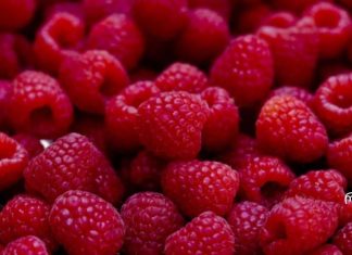 რა უნდა იცოდეთ ჟოლოსა და მისი ჯანმრთელობის სარგებლობის შესახებ