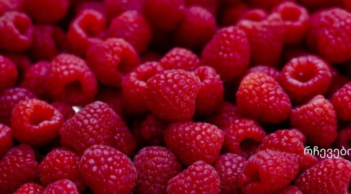 რა უნდა იცოდეთ ჟოლოსა და მისი ჯანმრთელობის სარგებლობის შესახებ