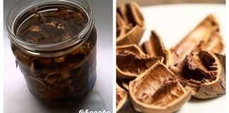 რამდენ დაავადებას კურნავს თქვენ თვითონ ნახავთ.კაკლის ნაჭუჭის ნაყენი.