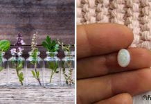 აიურვედა: როგორ მუშაობს ქვები და არომატული ზეთები თქვენს ჯანმრთელობაზე და უშრეტ ენერგიაზე.ყველამ უნდა ნახოს თავის ქვა