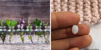 აიურვედა: როგორ მუშაობს ქვები და არომატული ზეთები თქვენს ჯანმრთელობაზე და უშრეტ ენერგიაზე.ყველამ უნდა ნახოს თავის ქვა