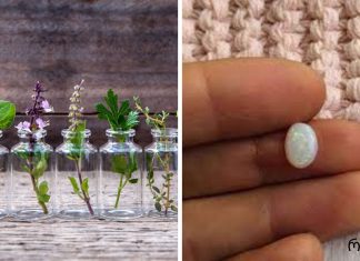 აიურვედა: როგორ მუშაობს ქვები და არომატული ზეთები თქვენს ჯანმრთელობაზე და უშრეტ ენერგიაზე.ყველამ უნდა ნახოს თავის ქვა