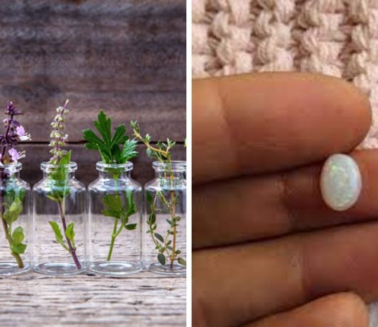 აიურვედა: როგორ მუშაობს ქვები და არომატული ზეთები თქვენს ჯანმრთელობაზე და უშრეტ ენერგიაზე.ყველამ უნდა ნახოს თავის ქვა