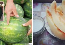 ექიმები და მეცნიერები გვირჩევენ ამ ხილისა და კენკრის თესლთან ერთად ჭამას(ნახეთ ჩამონათვალი)