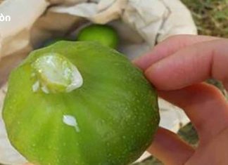 აშორებს ყველა მეჭეჭებს, გამონაყარს, ფიბროიდებს და ასაკობრივ ლაქებს პირველივე გამოყენების შემდეგ