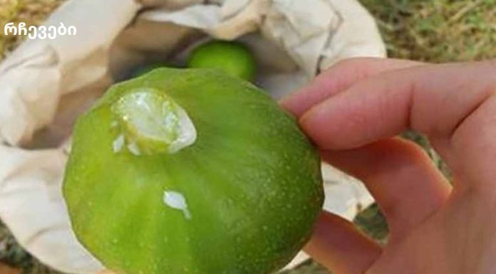 აშორებს ყველა მეჭეჭებს, გამონაყარს, ფიბროიდებს და ასაკობრივ ლაქებს პირველივე გამოყენების შემდეგ