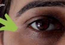 ღირებული რჩევების ყულაბა: როგორ შევინარჩუნოთ კარგი მხედველობა.იხილეთ მეთოდები.