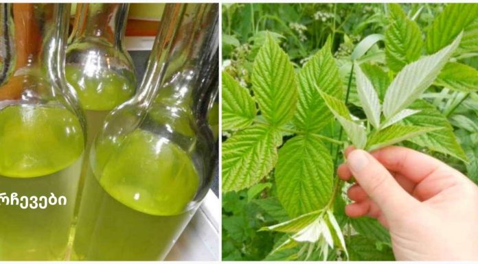 ჟოლოს ფოთლის ნაყენი გვეხმარება ნერვულ აშლილობასთან და გულის დაავადებებთან ბრძოლაში