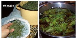 უძველესი და ცნობილი ფიჭვის ნემსის რეცეპტი არტერიული წნევის შესამცირებლად მრავალი წლის განმავლობაში.