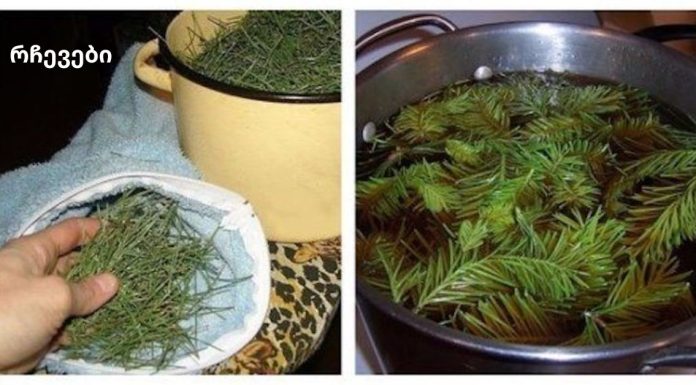 უძველესი და ცნობილი ფიჭვის ნემსის რეცეპტი არტერიული წნევის შესამცირებლად მრავალი წლის განმავლობაში.