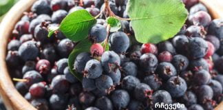 კენკრა მხოლოდ ჯანმრთელობის საწყობია ჩვენი ორგანიზმისთვის!