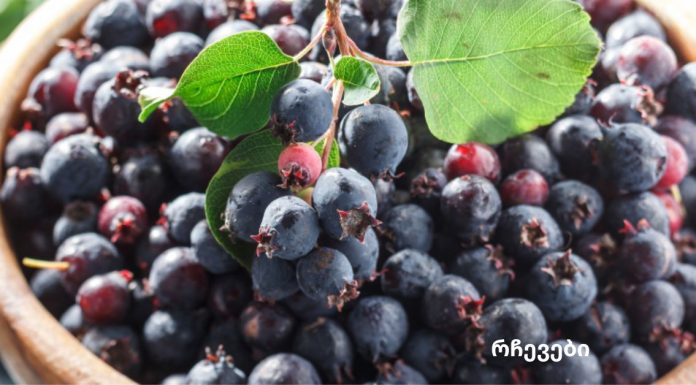 კენკრა მხოლოდ ჯანმრთელობის საწყობია ჩვენი ორგანიზმისთვის!