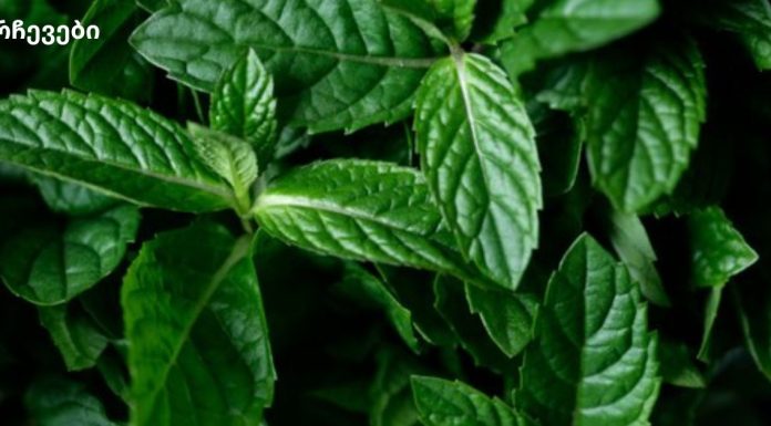 როგორ მოქმედებს პიტნა ჯანმრთელობასა და ადამიანის სხეულზე?