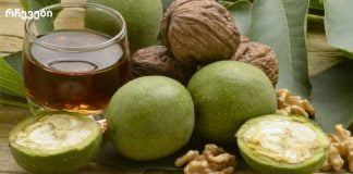 ჰიპერტენზია, წნევა და თავის ტვინის სისხლძარღვების სკლეროზი: მკურნალობა ხალხური ბალახებით