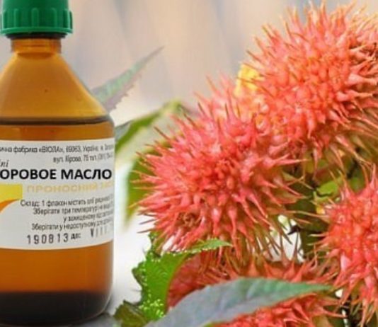 კარგია ყველა ასაკისთვის: აბუსალათინის ზეთის ყველაზე ხშირად გამოყენების ძირითადი მიზეზები