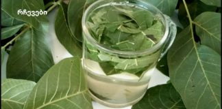 მაისსა და ივნისში ვაგროვებთ კაკლის ფოთლებს და მათთან ერთად ვიმაგრებდით იმუნიტეტს/ ჯანმრთელობას!