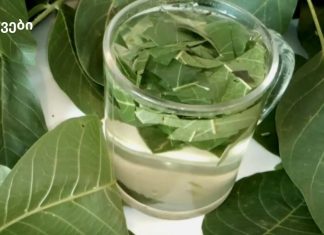 მაისსა და ივნისში ვაგროვებთ კაკლის ფოთლებს და მათთან ერთად ვიმაგრებდით იმუნიტეტს/ ჯანმრთელობას!