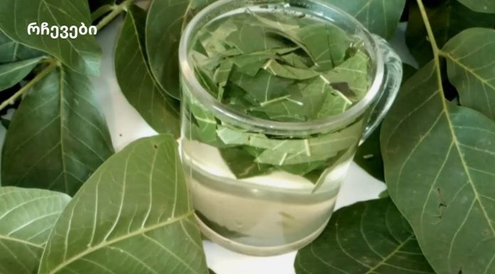 მაისსა და ივნისში ვაგროვებთ კაკლის ფოთლებს და მათთან ერთად ვიმაგრებდით იმუნიტეტს/ ჯანმრთელობას!