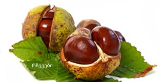 ამ მცენარის ფოთლებს შეუძლიათ ორგანიზმიდან ყველა არასაჭირო მარილის ამოღება!